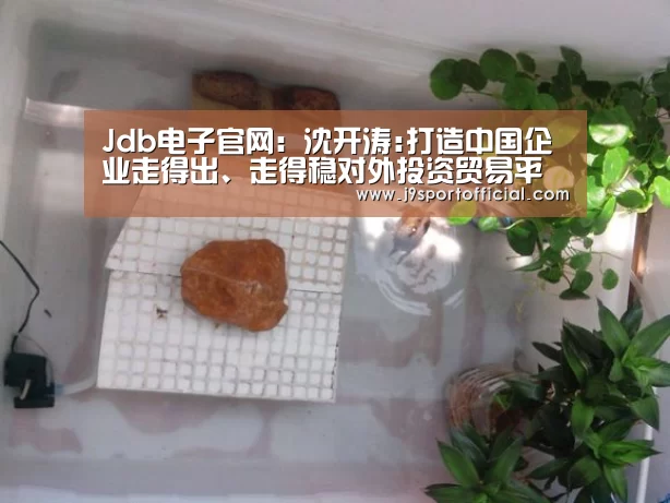 jdb电子网址大全